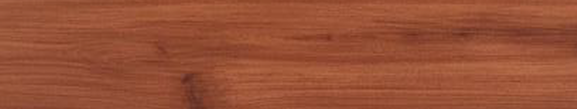 RED MAPLE specification details