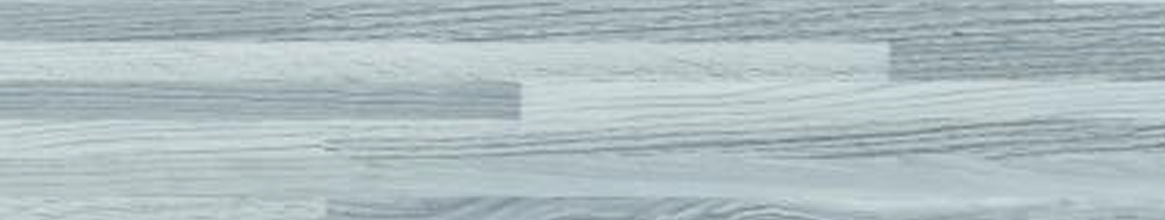 Silver Brich specification details